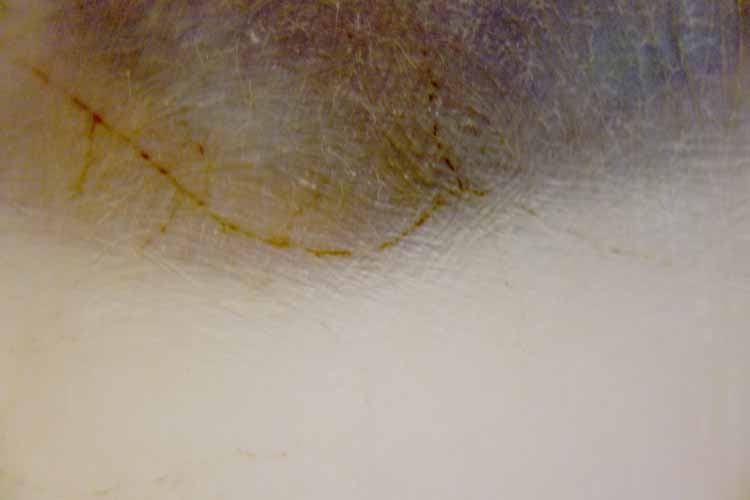 monika_m_seibel_hidden transparency_02951 444.jpg
